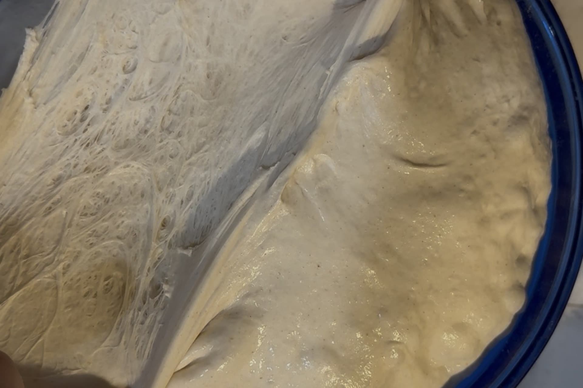Gluten: What's Actually Happening in Your Dough